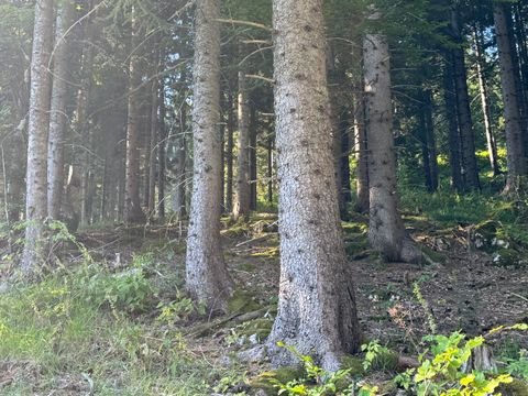 Eisenkappel-Vellach Grundstücke, Eisenkappel-Vellach Grundstück kaufen