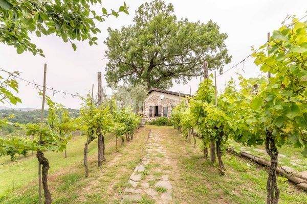 Italica_19.06.2024_Bagnone44 (Kopie).JPG