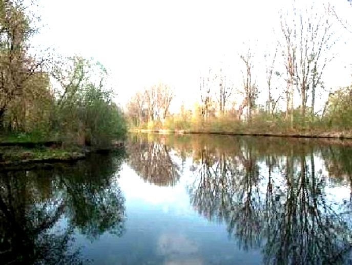 Bauland in Wald- u. Wassernähe in Wustermark b. Berlin als SHARE DEAL