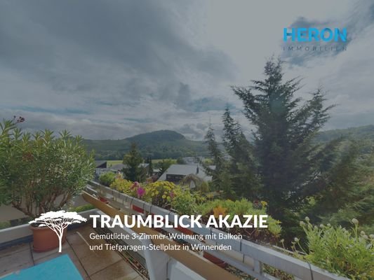 TRAUMBLICK AKAZIE 43