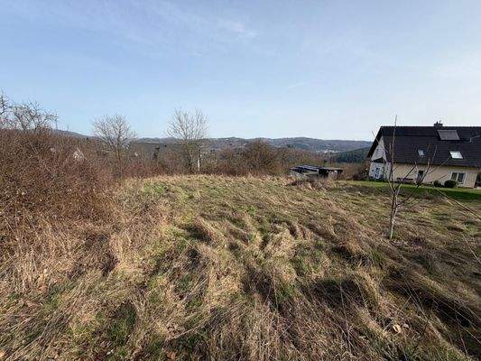 Grundstück.1.jpg