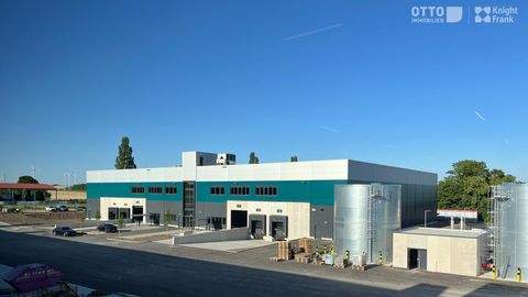 Bruck an der Leitha Halle, Bruck an der Leitha Hallenfläche