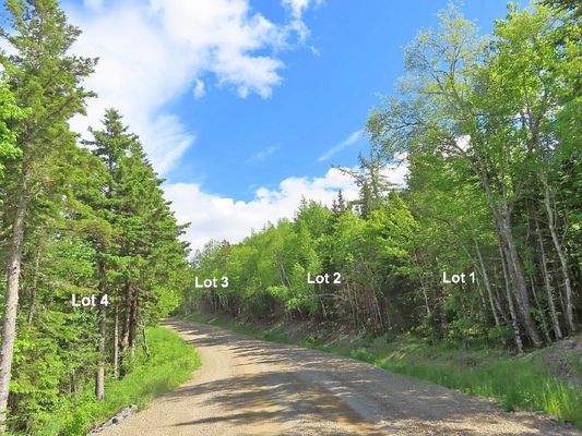 Nova Scotia - West Side Country Harbour - Preiswer