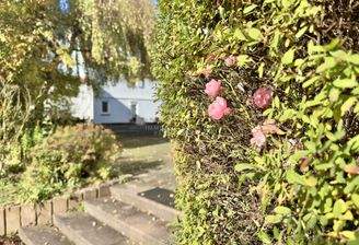 03_Gartenweg_Ort_der_Ruhe