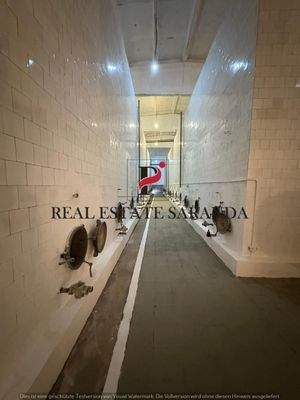 WhatsApp Image 2025-08-27 at 18.00.40.jpeg