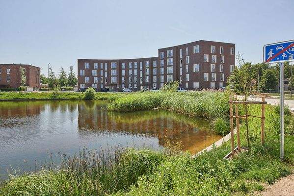 Blick auf den Kühnbachteich 