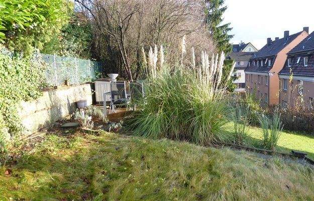 Auch im  Winter grün