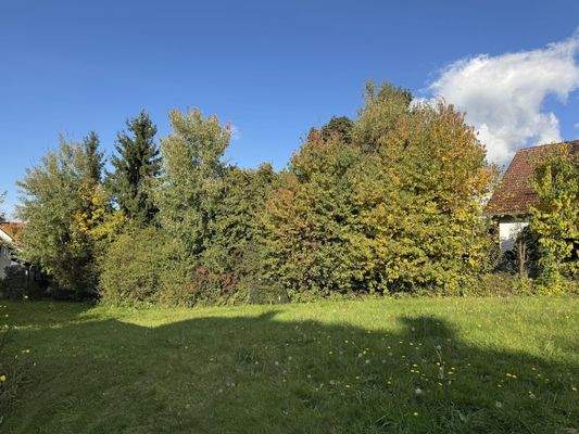 Blick in Richtung Osten