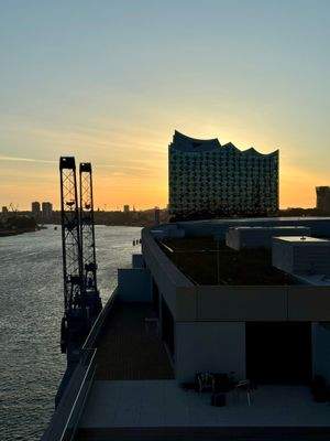 die Elbphi fest im Blick