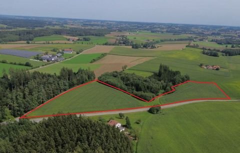 Velden-Neufraunhofen Bauernhöfe, Landwirtschaft, Velden-Neufraunhofen Forstwirtschaft