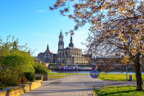 8-Dresden-Leben wo andere Urlaub machen-9484.jpg