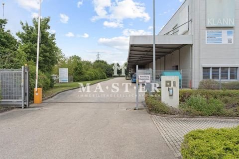Landshut Halle, Landshut Hallenfläche