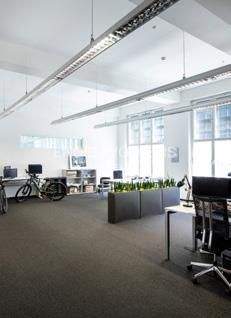 Beispielhafte Fläche