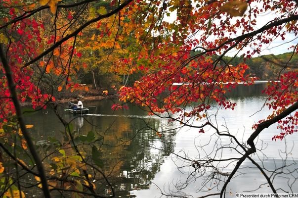 Wunderschöner Herbst