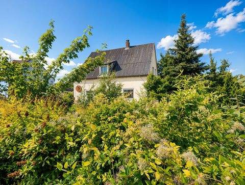 Maxhütte-Haidhof Industrieflächen, Lagerflächen, Produktionshalle, Serviceflächen