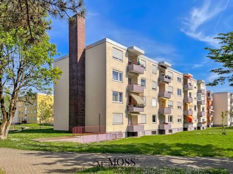 Rheinfelden (Baden) Wohnungen, Rheinfelden (Baden) Wohnung kaufen