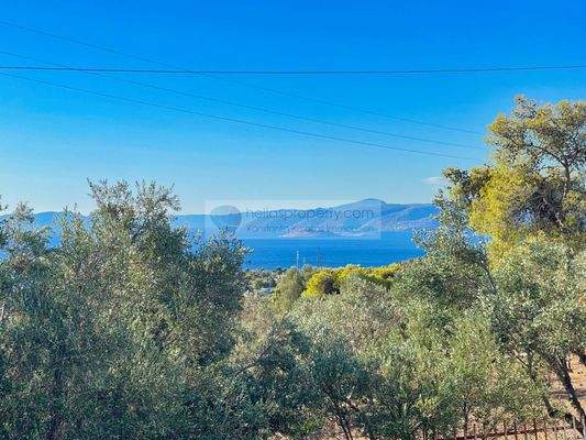 993dad72281d44f88752bfa2676f4cee-original