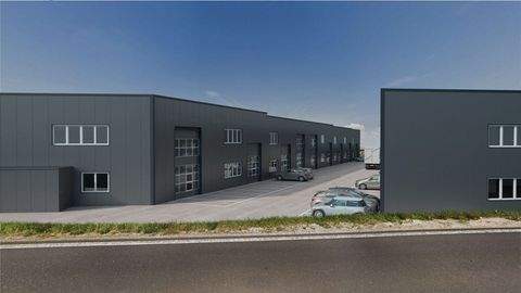 Wolfern Halle, Wolfern Hallenfläche