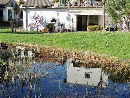 Blick über den Schwimmteich auf die Terrasse