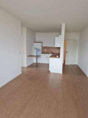 Wohnbereich mit offener Küche 