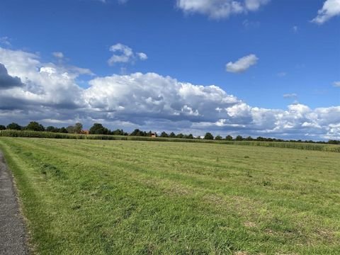 Münster-Nienberge Bauernhöfe, Landwirtschaft, Münster-Nienberge Forstwirtschaft