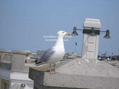 Leer (Ostfriesland) Halle, Leer (Ostfriesland) Hallenfläche