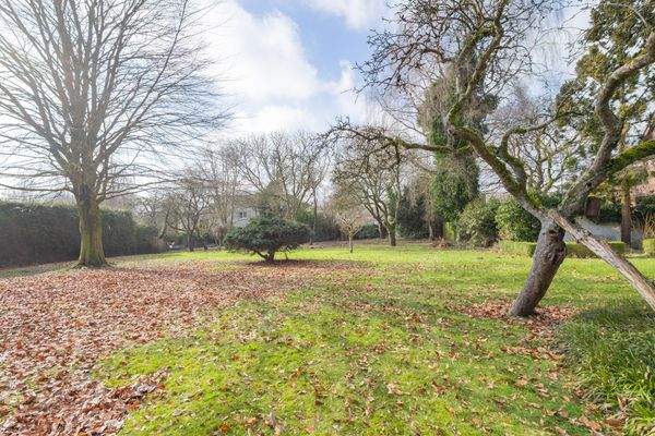 Garten / Baugrundstück