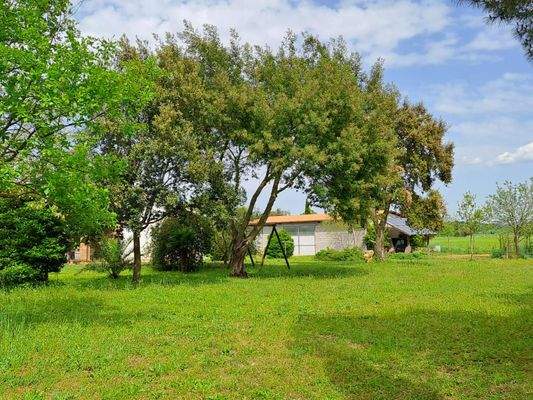 PHOTO-2024-04-29-15-33-35 4.jpg