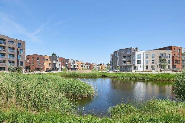 Idyllischer Blick auf den Teich