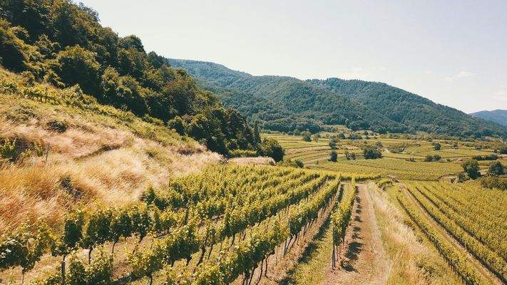 Blick Richtung Westen