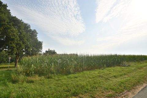 Barnstorf / Aldorf Bauernhöfe, Landwirtschaft, Barnstorf / Aldorf Forstwirtschaft