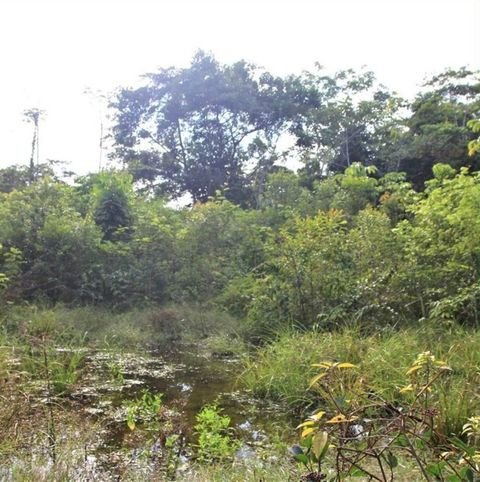 Iquitos, Loreto Grundstücke, Iquitos, Loreto Grundstück kaufen