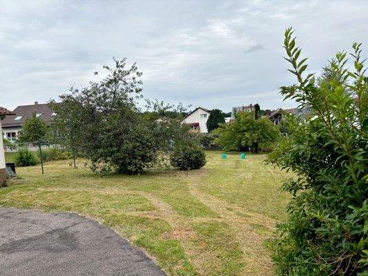 Entscheiden Sie selbst!