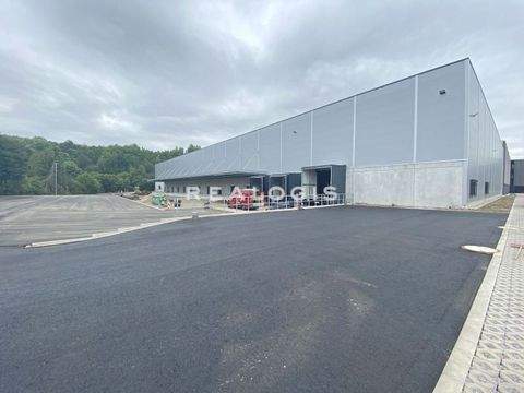 Bochum Halle, Bochum Hallenfläche