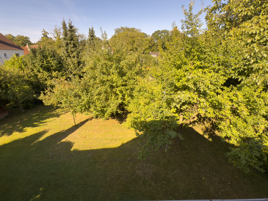 Garten mit altem Obstbaumbestand