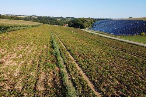 Niederviehbach Bauernhöfe, Landwirtschaft, Niederviehbach Forstwirtschaft