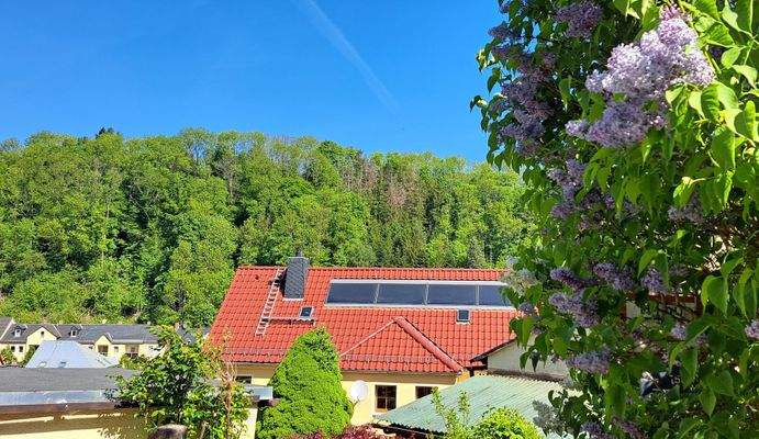 Blick vom Wanderweg 2.jpg