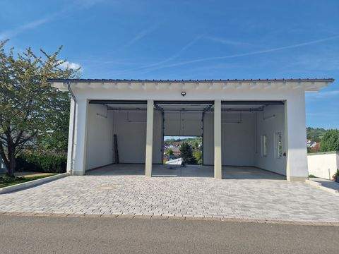 Schauenburg Halle, Schauenburg Hallenfläche