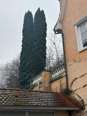 Terrasse mit Zypressen