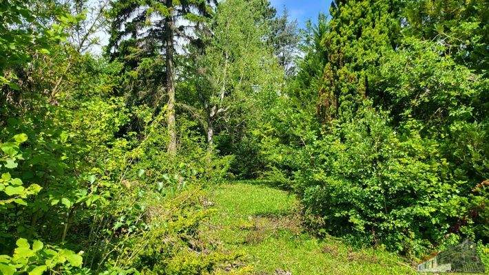 20240530_105356_resized