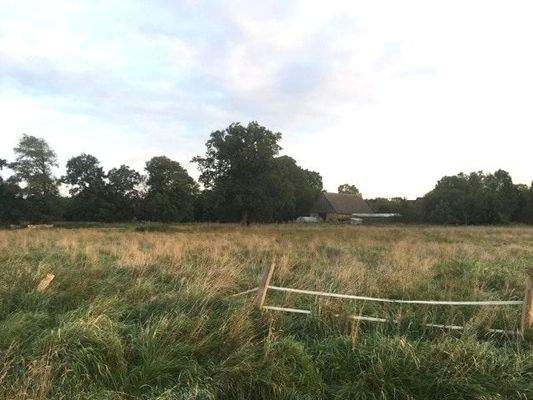 Scheune u. Folientunnel