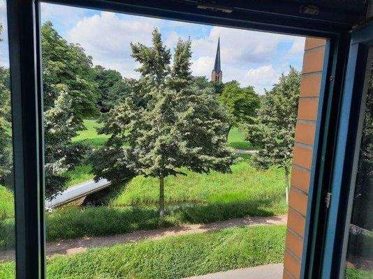 Park, Blick aus dem Fenster