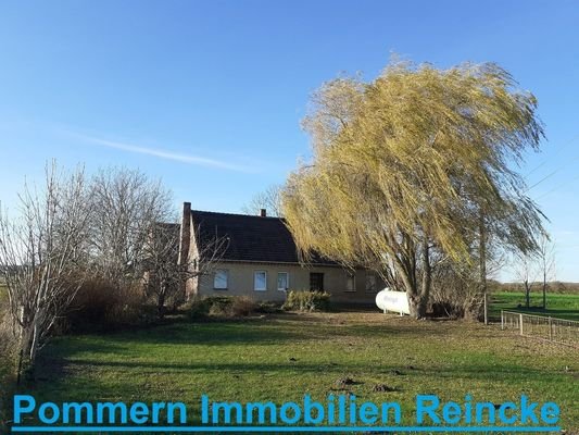 Blick aufs Haus.jpg