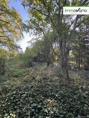 hinteres Grundstück