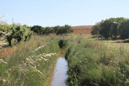 WhatsApp Bild 2025-10-18 um 21.57.27_cb896a44