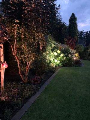 Sommerimpression 2025