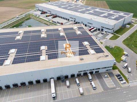 Graben-Neudorf Halle, Graben-Neudorf Hallenfläche