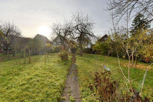 Garten nach Süd-Osten