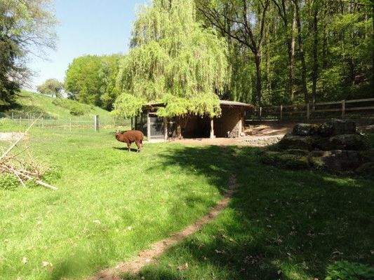 Außenbereich - Park