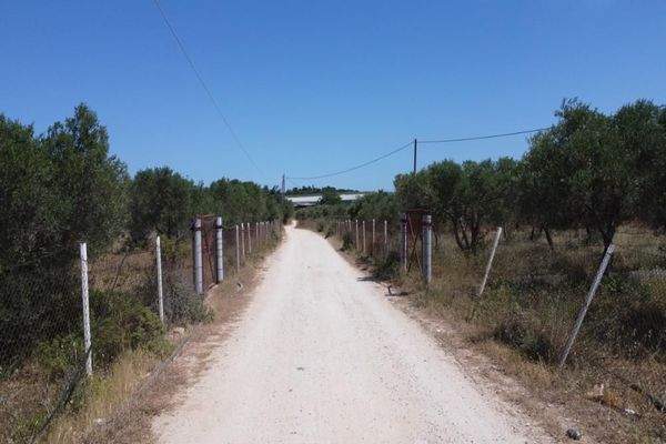 Kreta, Mouzouras: Flaches Grundstück mit Panoramablick zu verkaufen